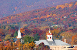 በደን የተሸፈነ የመሬት ገጽታ